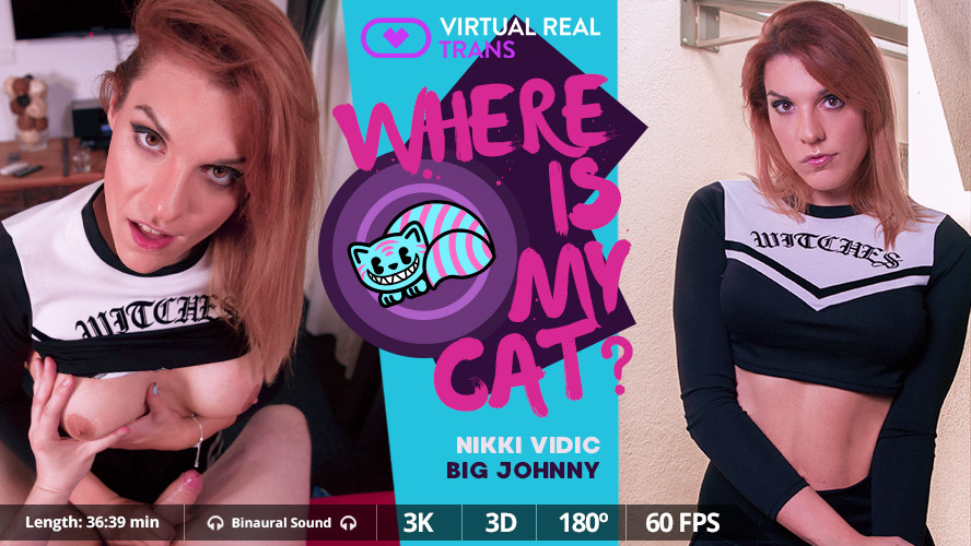 Nikki Vidic – Where Is My Cat?